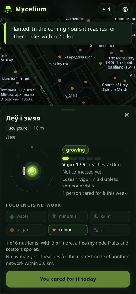Mycelium: a freshly planted node on the map